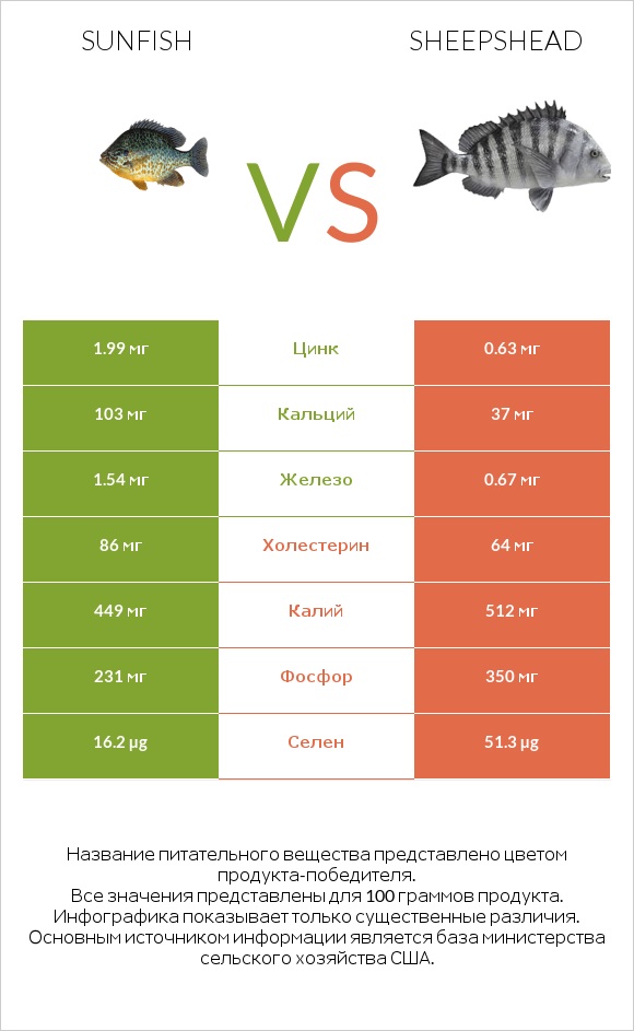 Sunfish vs Sheepshead infographic