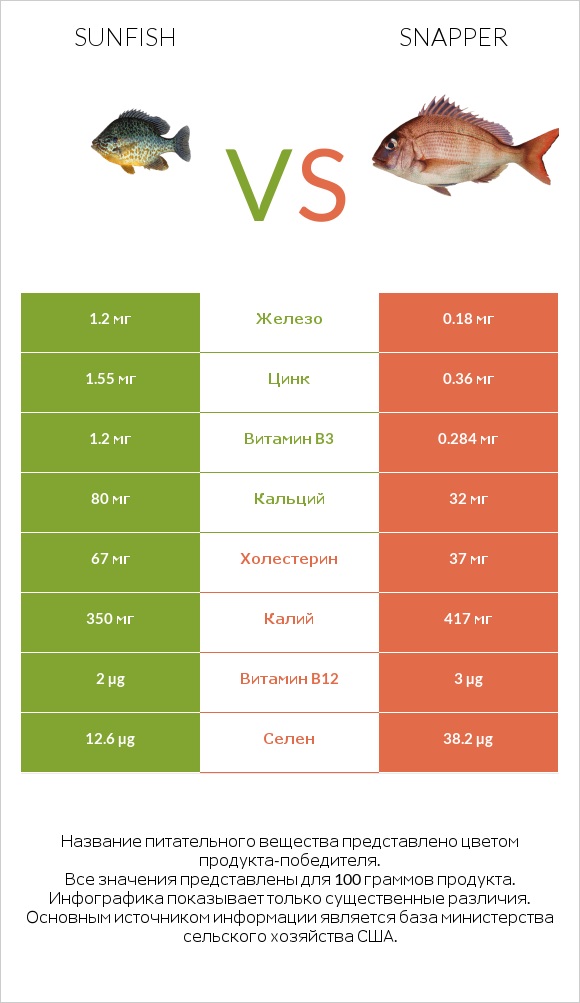 Sunfish vs Snapper infographic