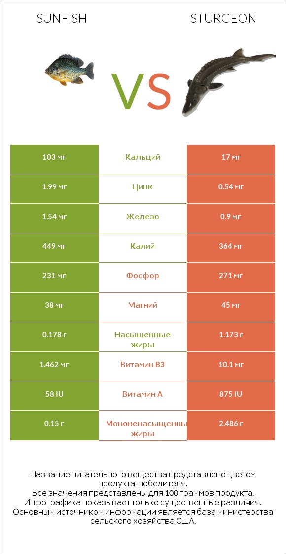 Sunfish vs Sturgeon infographic