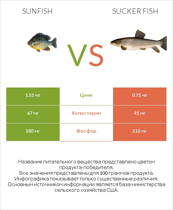 Sunfish vs Sucker fish infographic