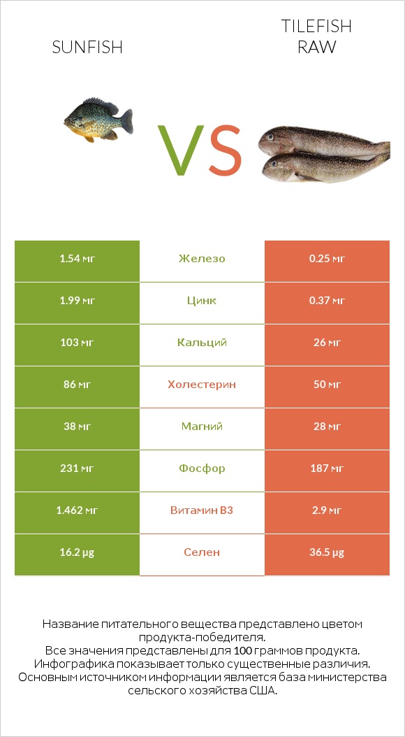 Sunfish vs Tilefish raw infographic