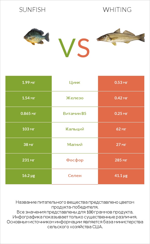 Sunfish vs Whiting infographic