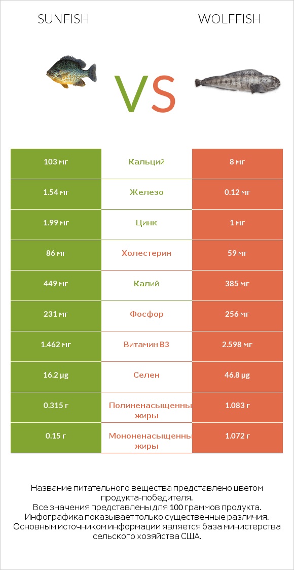 Sunfish vs Wolffish infographic