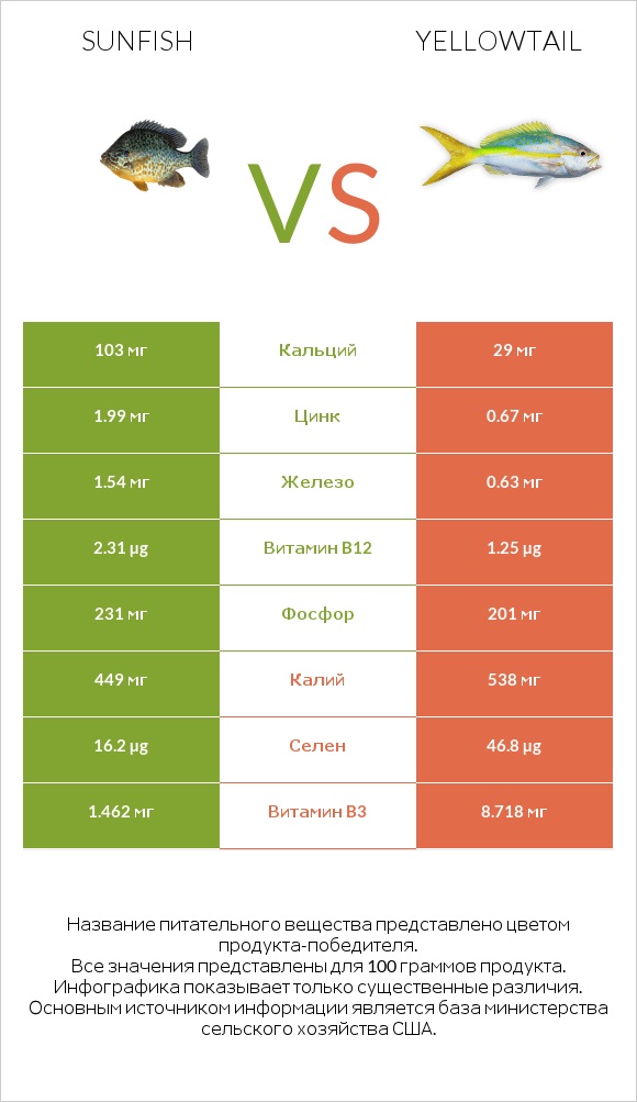 Sunfish vs Yellowtail infographic