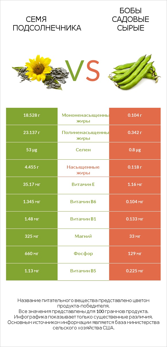 Семя подсолнечника vs Бобы садовые сырые infographic