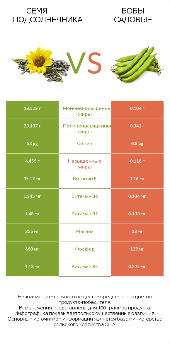 Семя подсолнечника vs Бобы садовые infographic