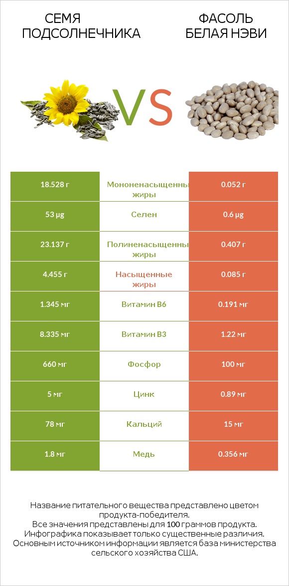 Семя подсолнечника vs Фасоль белая нэви infographic