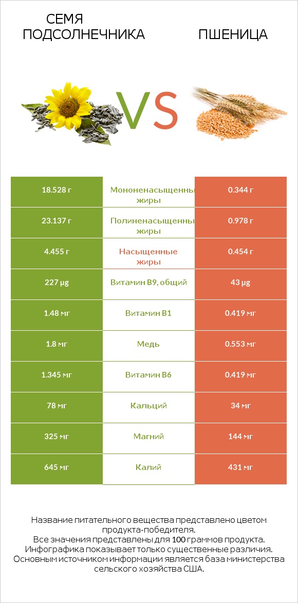 Семя подсолнечника vs Пшеница infographic
