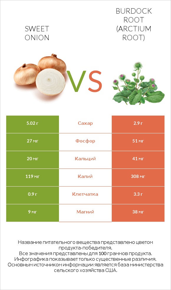 Sweet onion vs Burdock root infographic