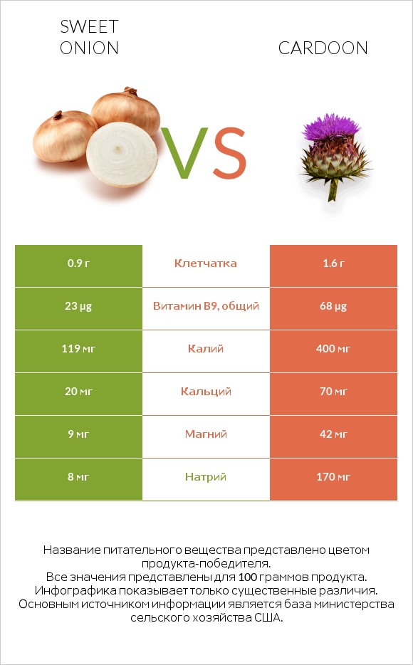 Sweet onion vs Cardoon infographic