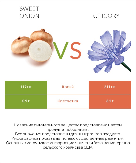Sweet onion vs Chicory infographic