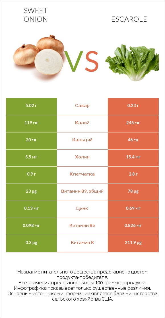Sweet onion vs Escarole infographic