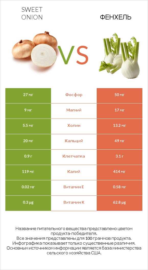 Sweet onion vs Фенхель infographic