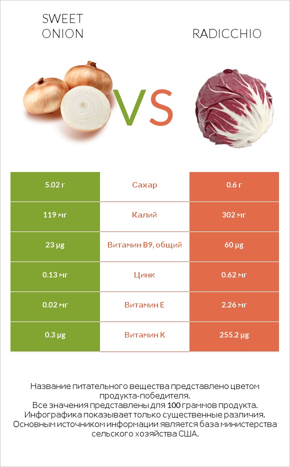 Sweet onion vs Radicchio infographic
