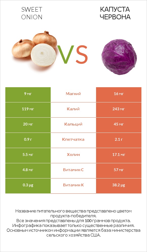 Sweet onion vs Капуста червона infographic