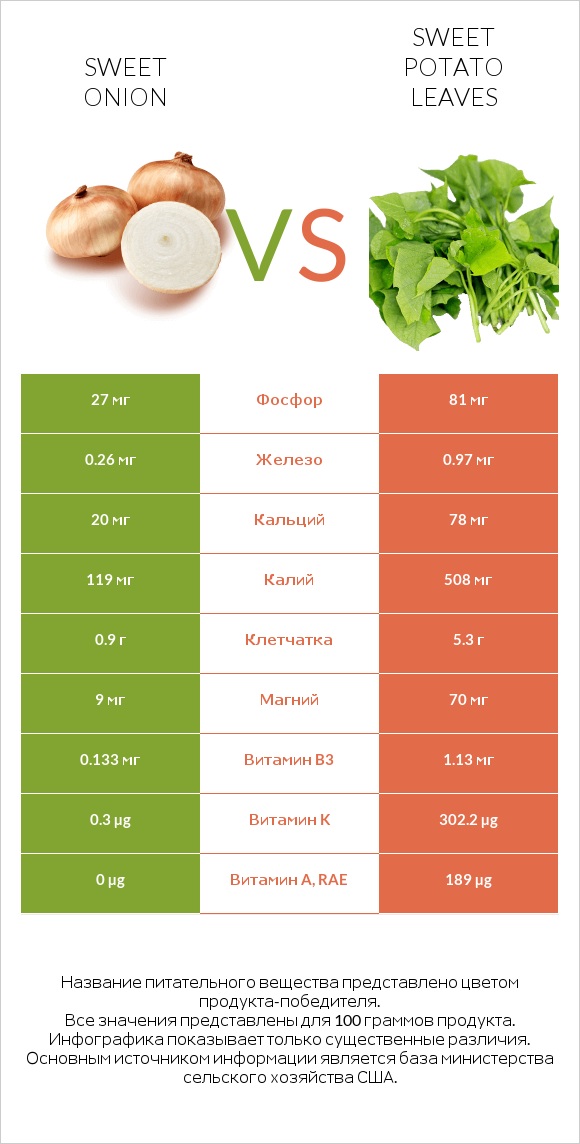 Sweet onion vs Sweet potato leaves infographic