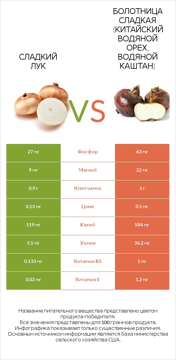 Sweet onion vs Water chestnuts infographic