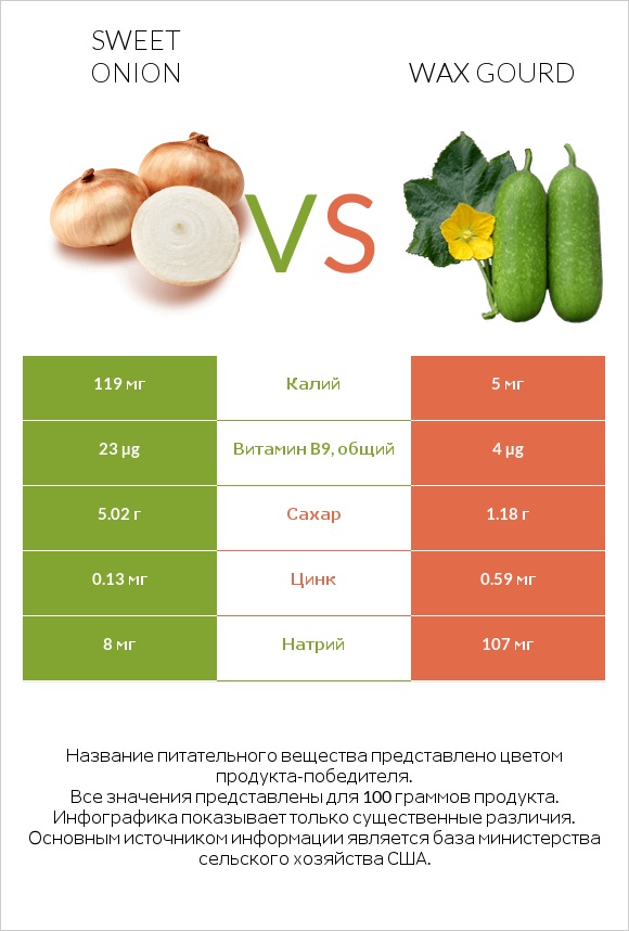 Sweet onion vs Wax gourd infographic