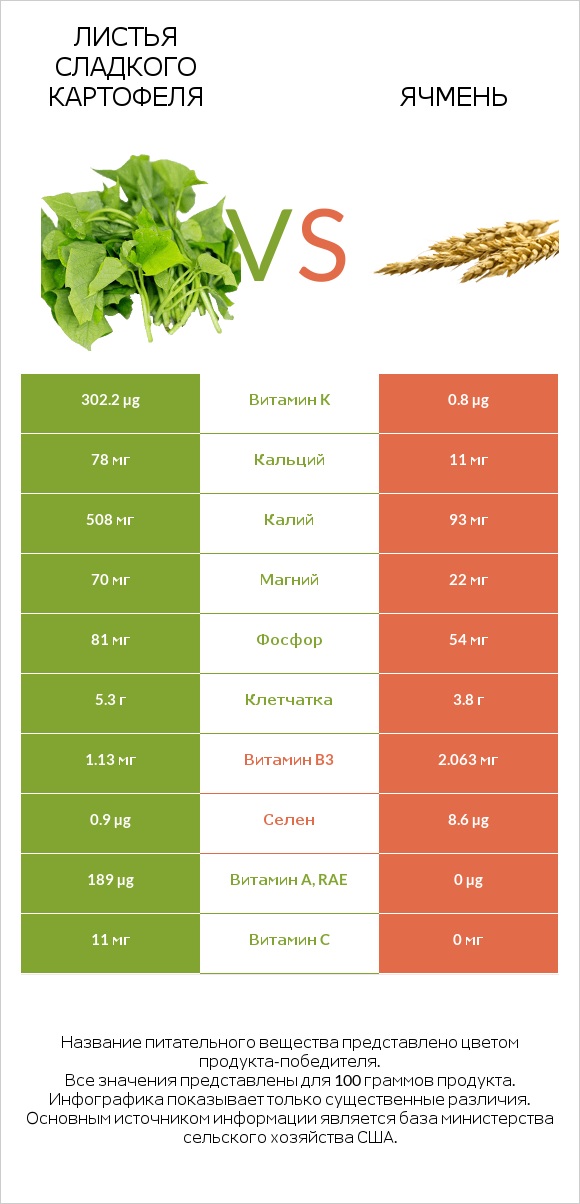 Листья сладкого картофеля vs Ячмень infographic