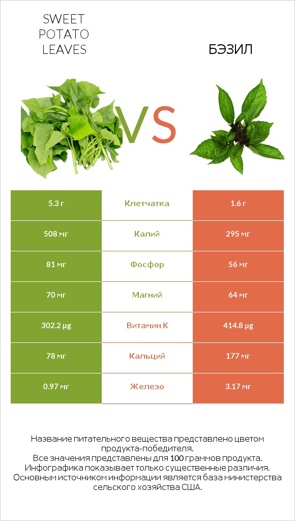 Листья сладкого картофеля vs Бэзил infographic