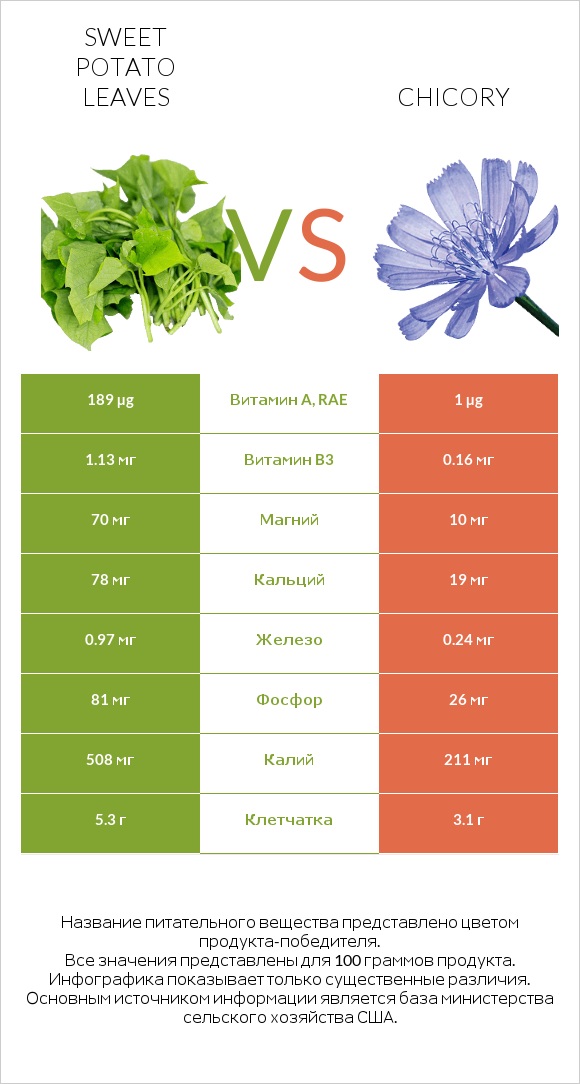 Sweet potato leaves vs Chicory infographic