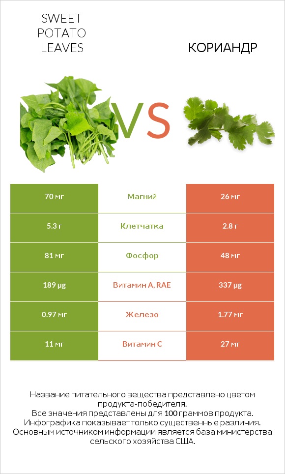 Листья сладкого картофеля vs Кориандр infographic