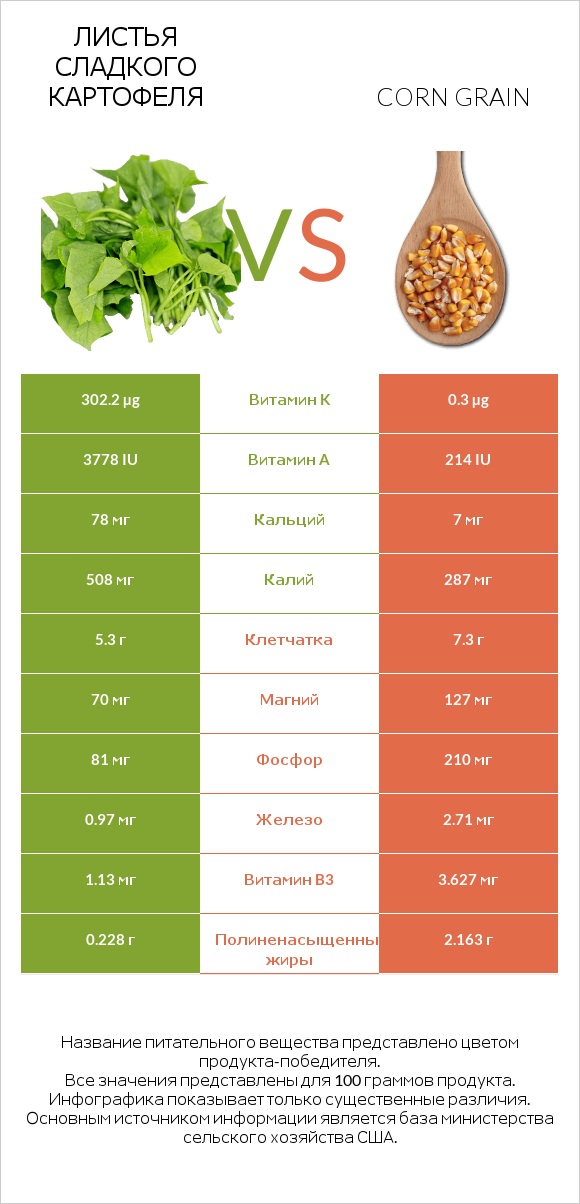 Листья сладкого картофеля vs Corn grain infographic