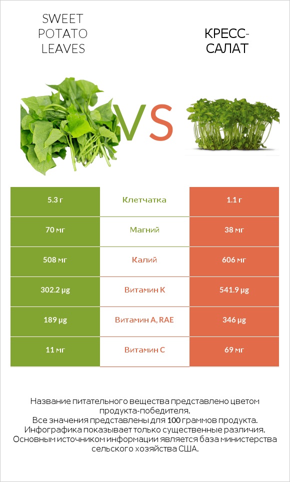 Листья сладкого картофеля vs Кресс-салат infographic