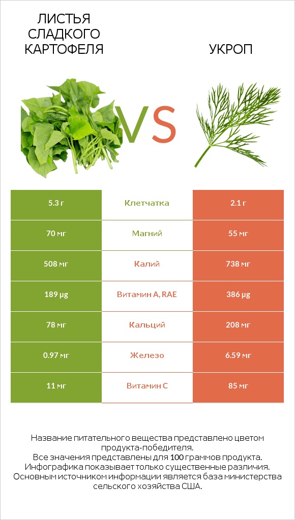 Листья сладкого картофеля vs Укроп infographic