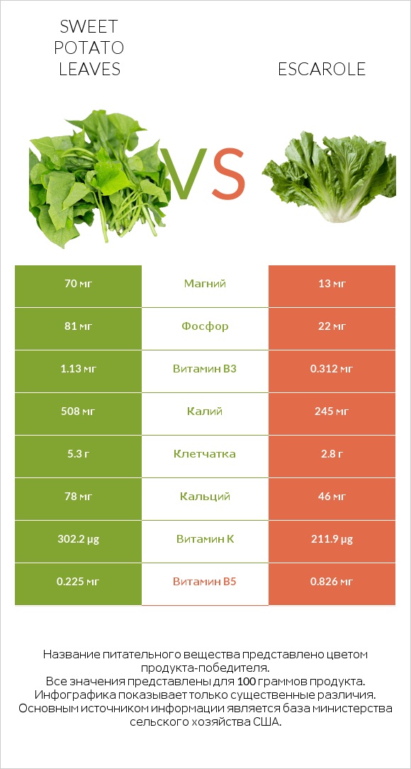 Sweet potato leaves vs Escarole infographic