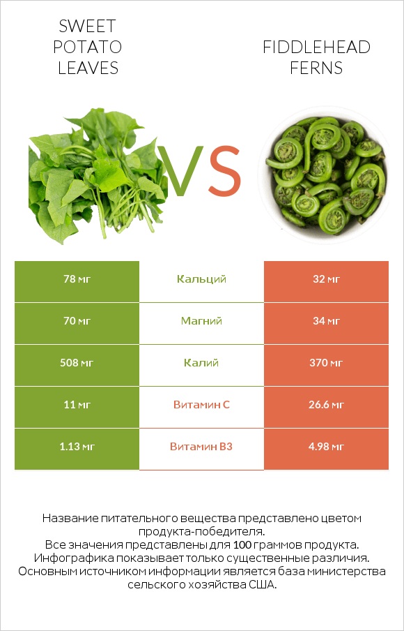 Sweet potato leaves vs Fiddlehead ferns infographic