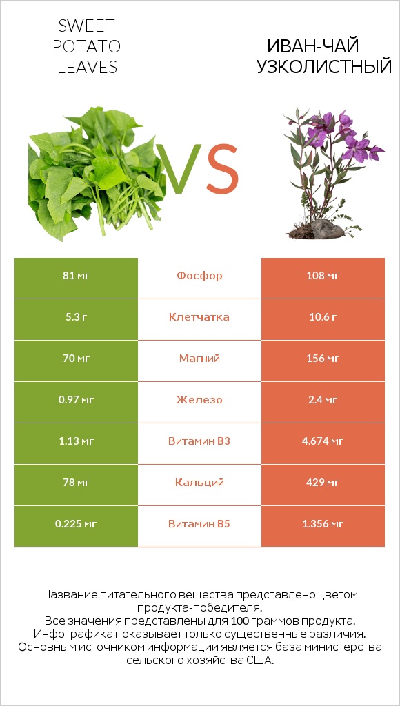 Листья сладкого картофеля vs Иван-чай узколистный infographic