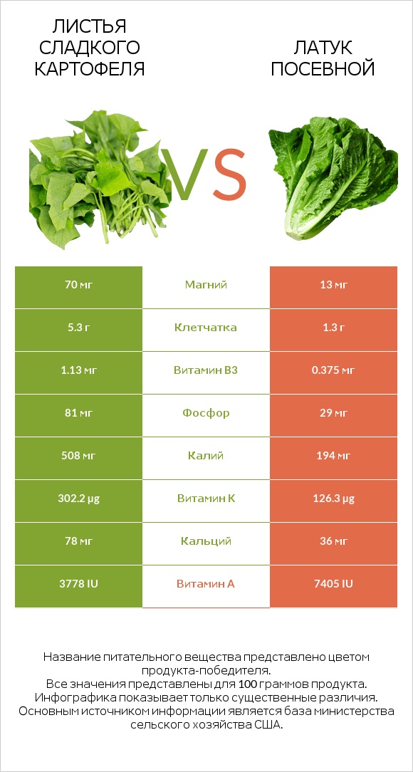 Листья сладкого картофеля vs Латук посевной infographic