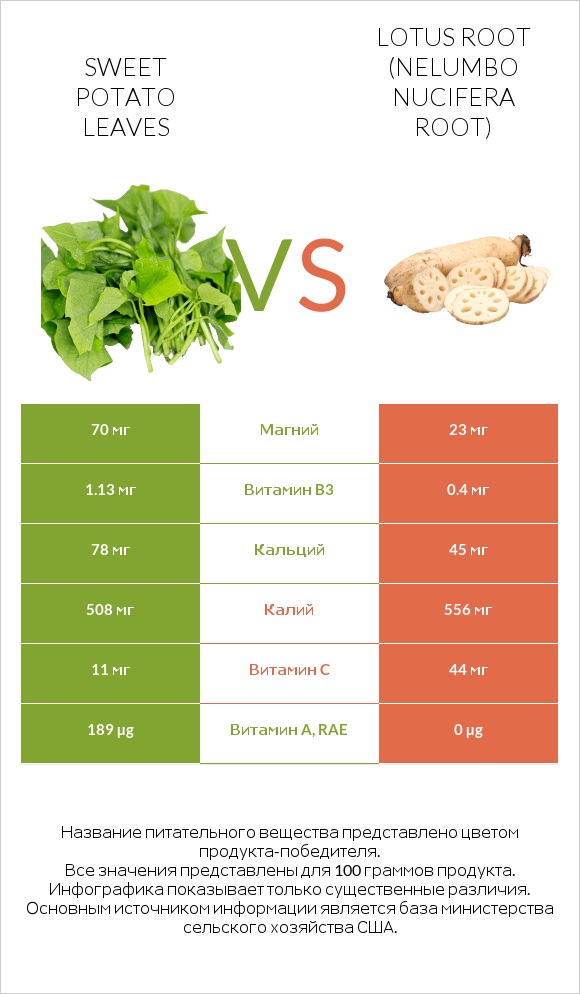 Sweet potato leaves vs Lotus root infographic