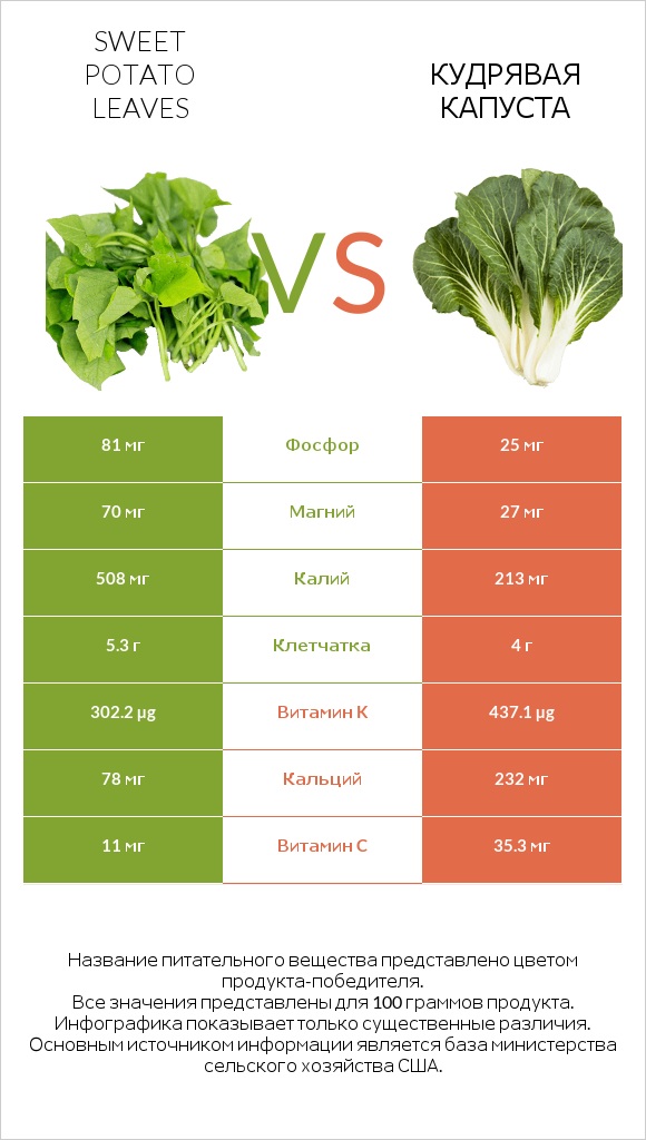 Листья сладкого картофеля vs Кудрявая капуста infographic