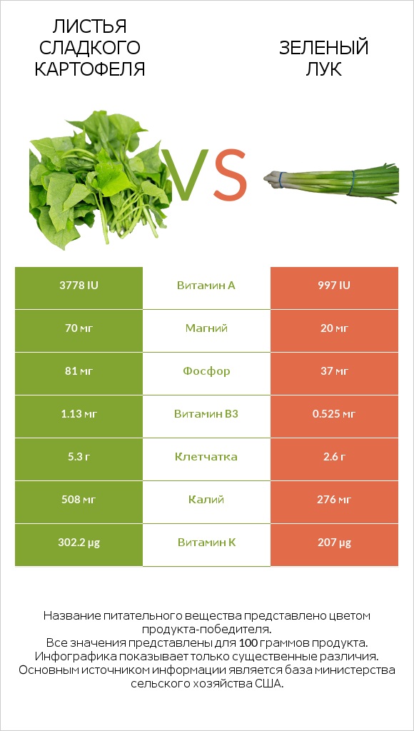 Листья сладкого картофеля vs Зеленый лук infographic