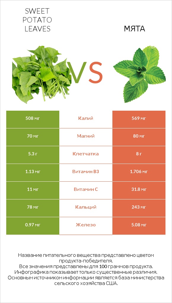 Листья сладкого картофеля vs Мята infographic