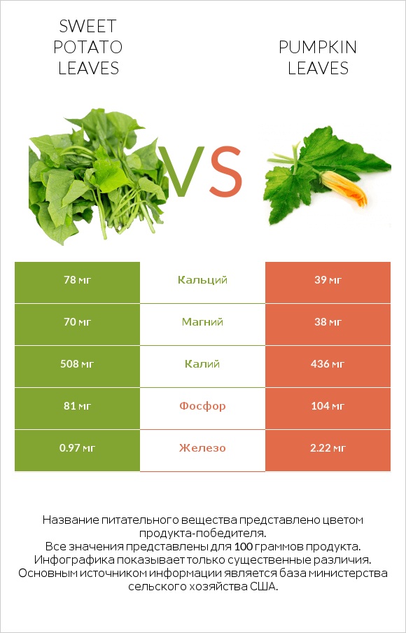 Sweet potato leaves vs Pumpkin leaves infographic