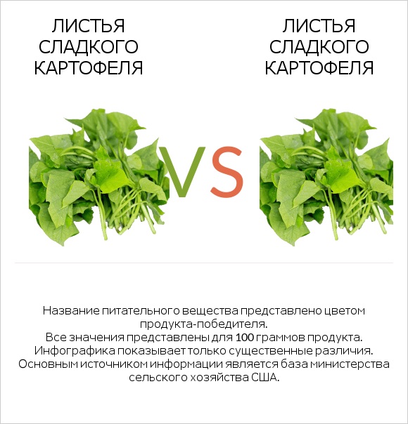 Листья сладкого картофеля vs Листья сладкого картофеля infographic