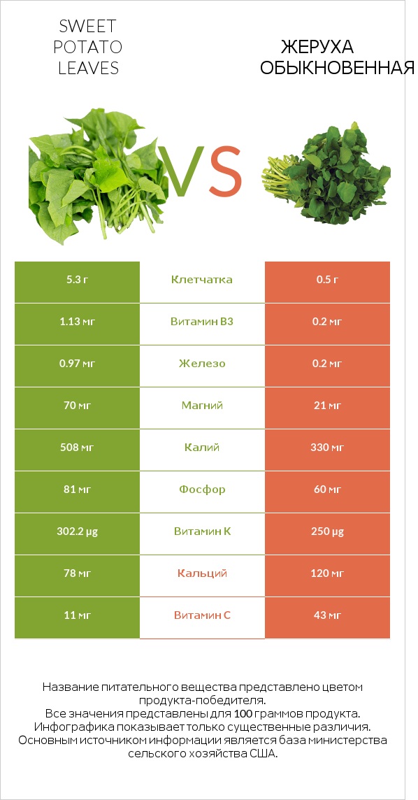 Листья сладкого картофеля vs Жеруха обыкновенная infographic