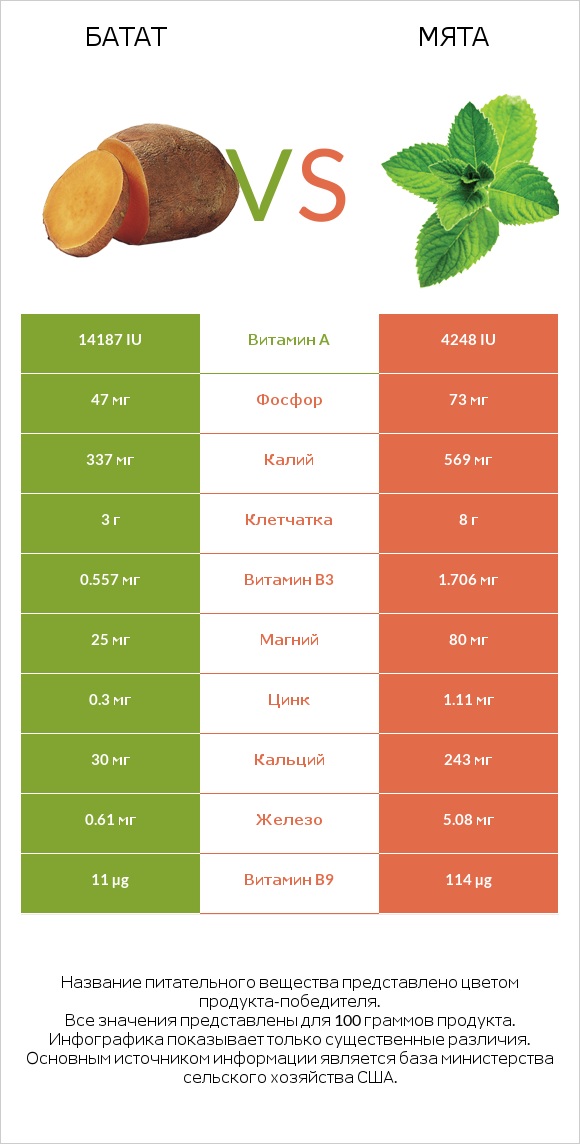 Батат vs Мята infographic