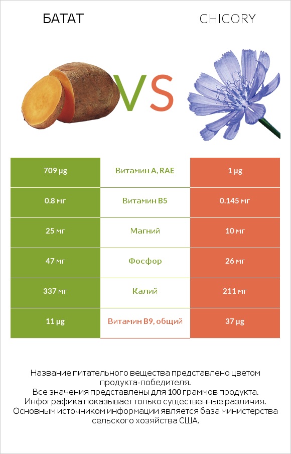 Батат vs Chicory infographic