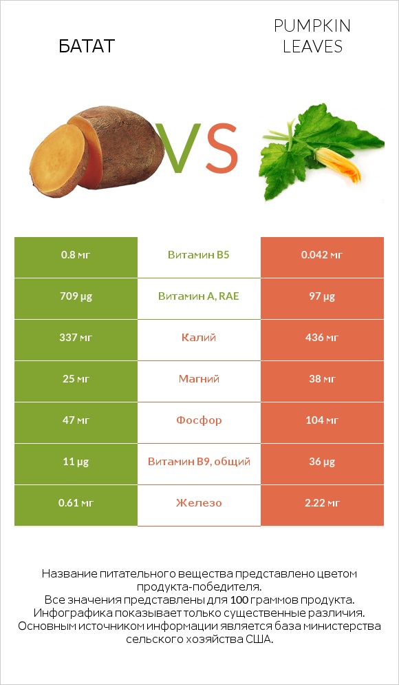 Батат vs Pumpkin leaves infographic