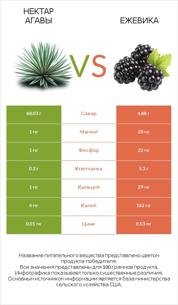 Нектар агавы vs Ежевика infographic