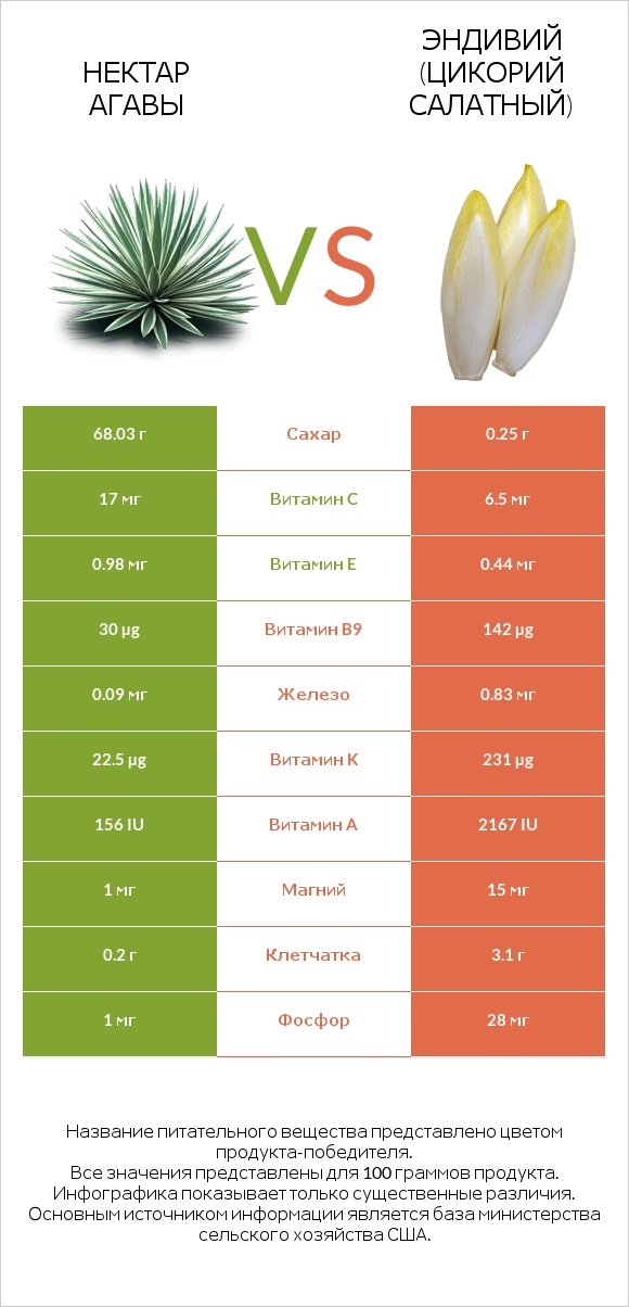 Нектар агавы vs Эндивий (Цикорий салатный)  infographic