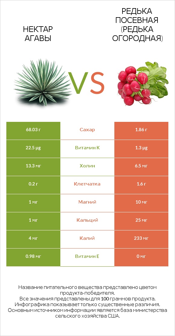 Нектар агавы vs Редька посевная (Редька огородная) infographic