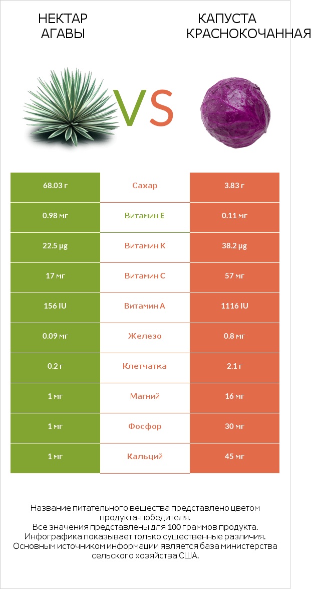 Нектар агавы vs Капуста краснокочанная infographic