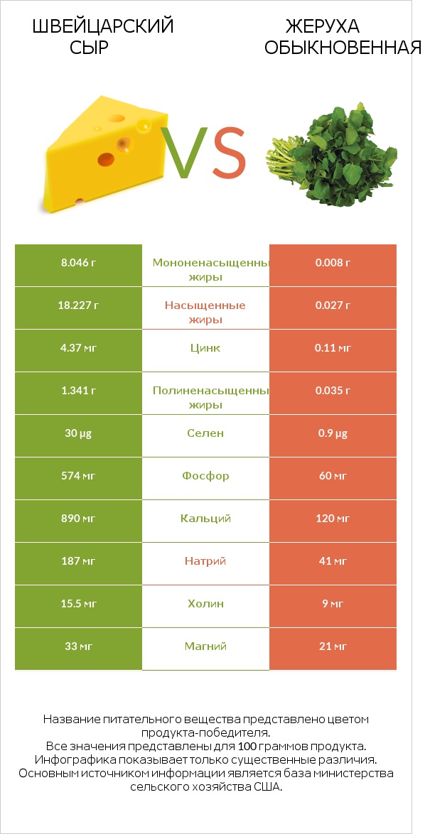 Швейцарский сыр vs Жеруха обыкновенная infographic
