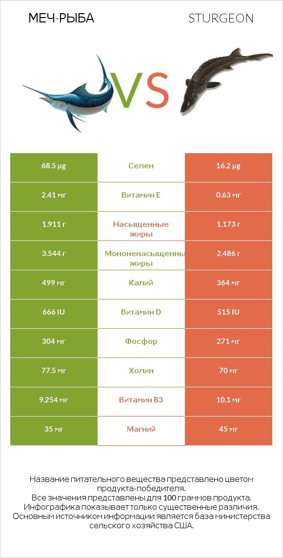 Меч-рыба vs Sturgeon infographic