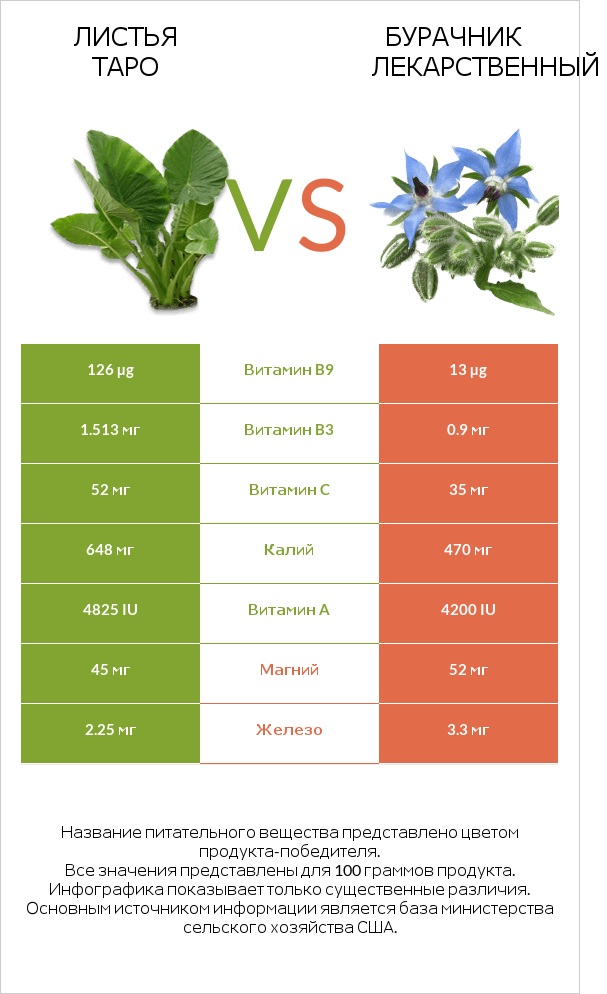 Листья Таро vs Бурачник лекарственный infographic